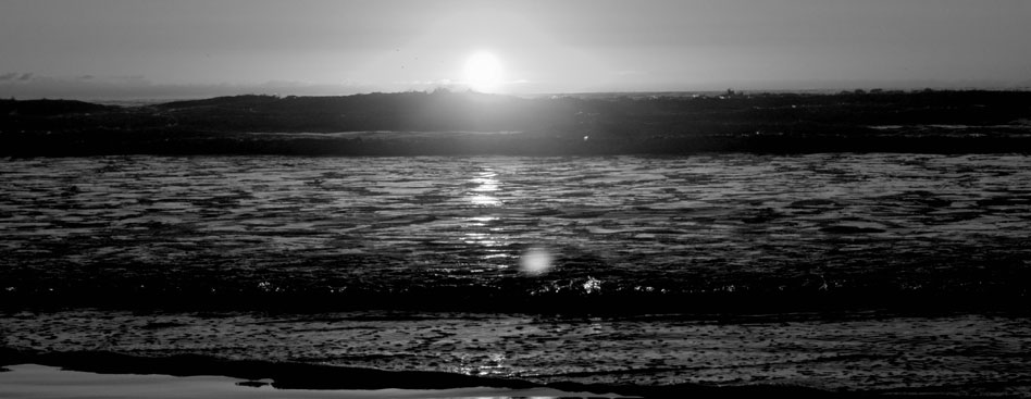 短信轰炸机网页版在线